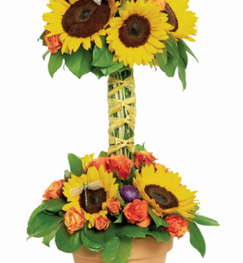 Dragonfly Sunflowers