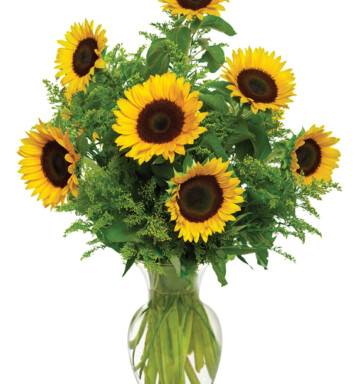 Snazzy Sunflowers