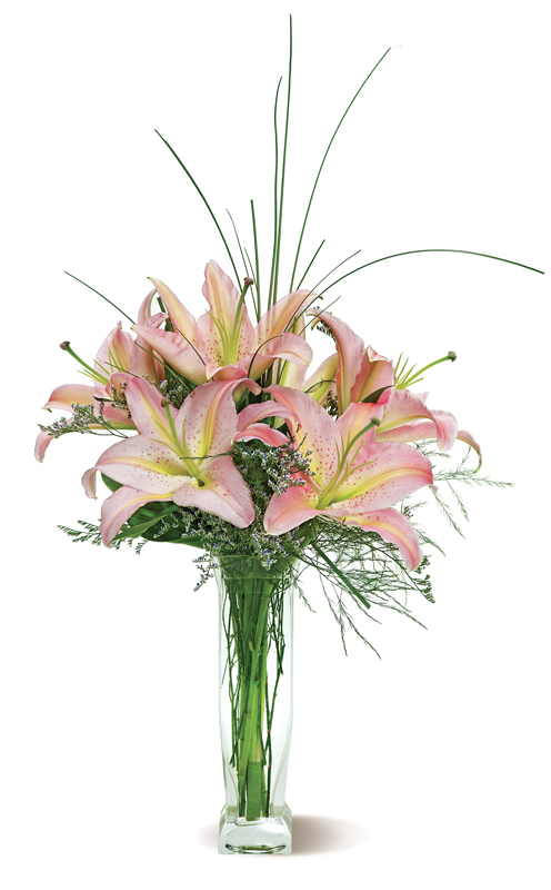 Stunning Lilies