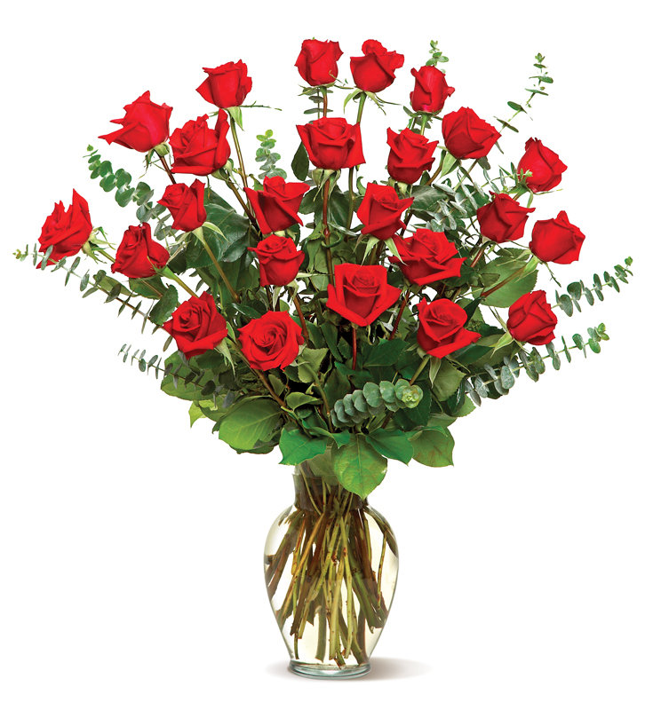 Two Dozen Red Roses
