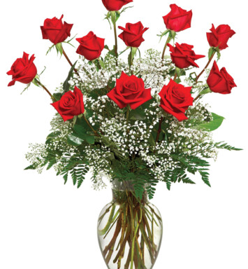 A Dozen Deluxe Roses