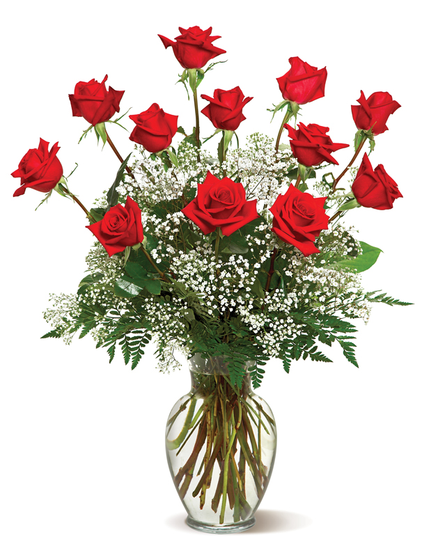 A Dozen Deluxe Roses