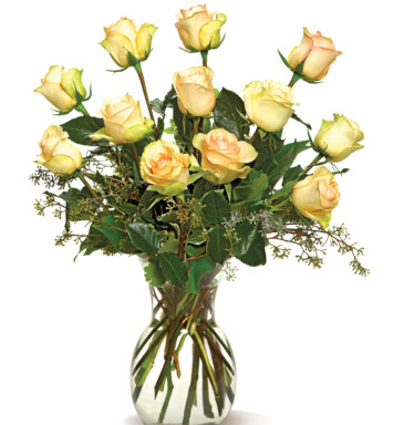 A Dozen Cream Roses