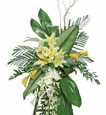 Simple Beauty Standing Spray