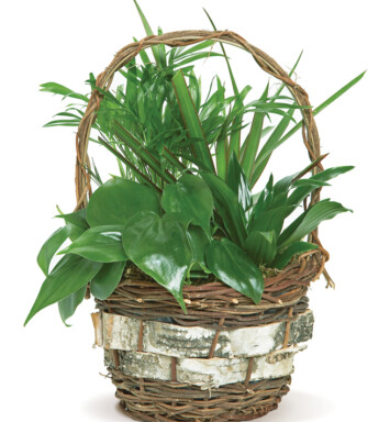 Rustic Country Basket