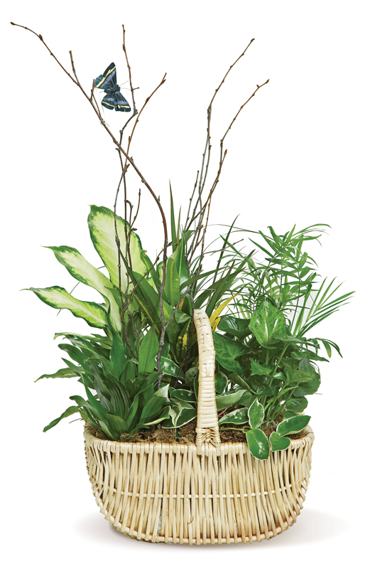 Butterfly Planter Basket